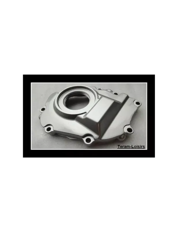 Bon Marché Carter Alternateur pour HONDA CBR 600 F2/F3 / CB 600 Hornet à partir de 1998