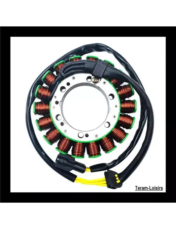 Super Prix Stator Alternateur pour BMW F800 GT 800 F de 2013 à 2014