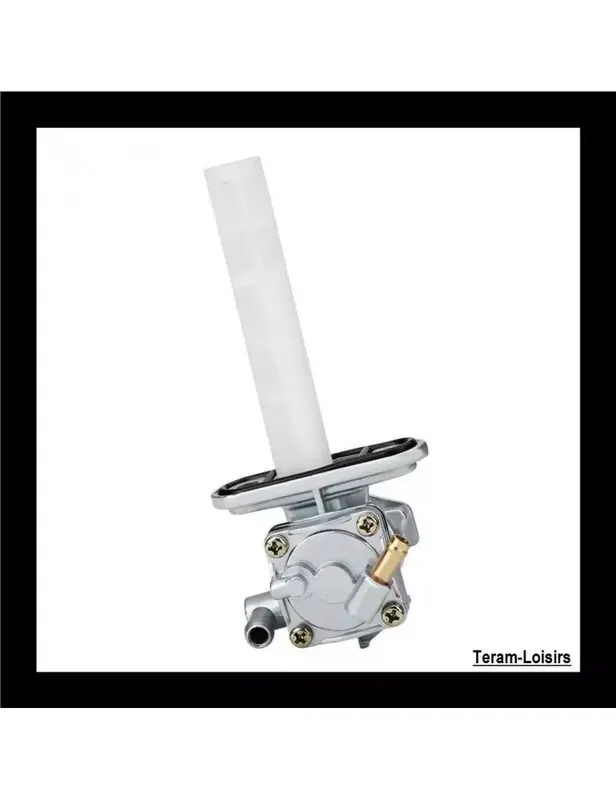 Commander Vite Robinet Essence pour Suzuki GSX 750 F de 1998 1999 2000 2001 2002 à 2006