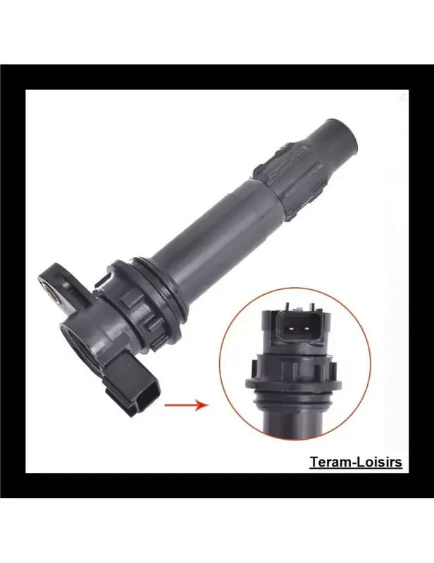 Usine Directe Bobine Allumage Crayon pour Yamaha SX 230 de 2005 à 2009
