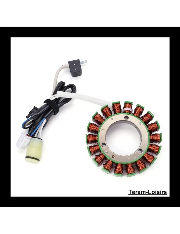 Acheter Direct Stator Allumage pour Bennche Bighorn 500 de 2010 à 2016