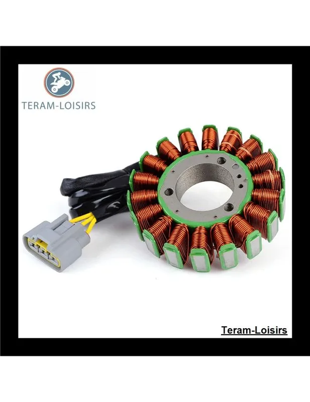 Top Vente Stator Alternateur pour Ski-doo Renegade 600 Sport ACE EFI de 2011 NEUF