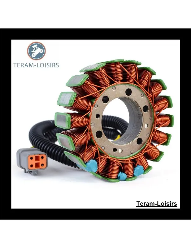Achat Immédiat Stator Alternateur pour Ski-doo MX Z 600 HO Renegade SDI EFI de 2005 2006 2007 2008 NEUF