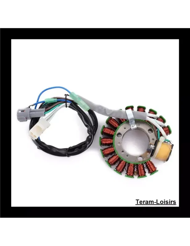 Usine Directe Stator Allumage pour Yamaha TW 200 Trailway 200 de 2001 à 2017