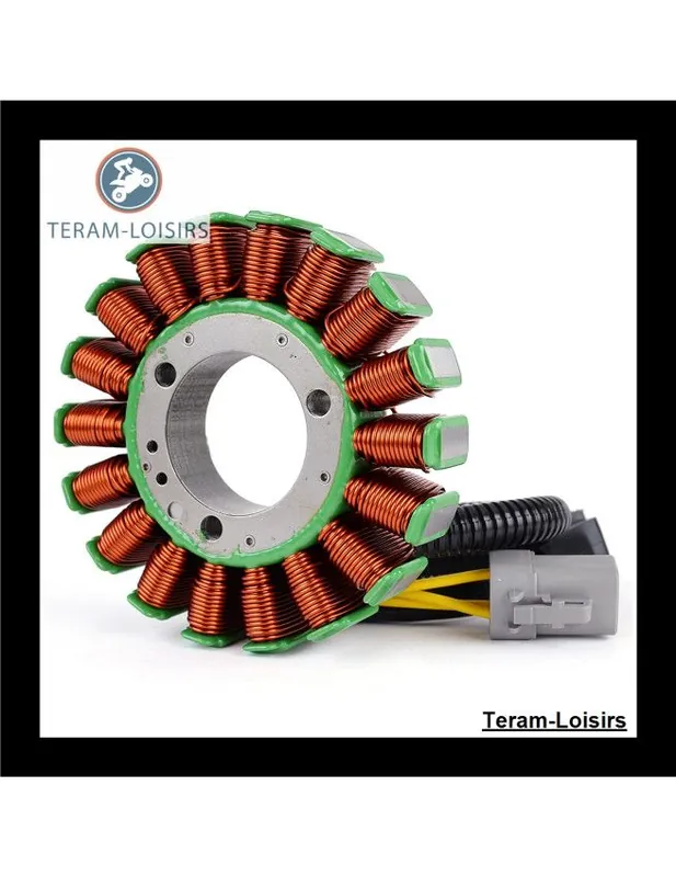 Acheter Direct Stator Alternateur pour Ski-Doo Expedition TUV V800 4-TEC à partir de 2009 NEUF