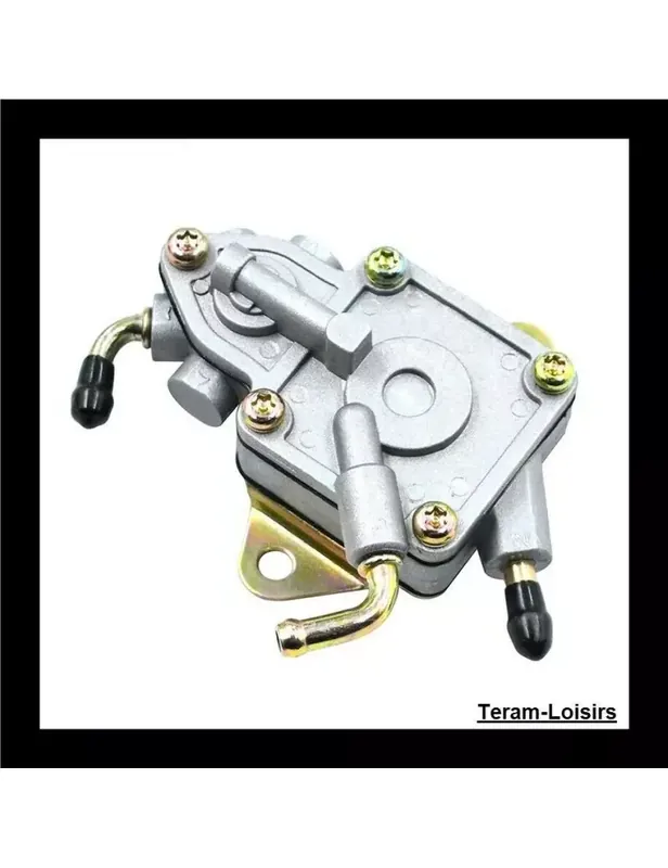 Vente Directe Pompe à Essence pour Linhai Bighorn 260 300 ATV UTV