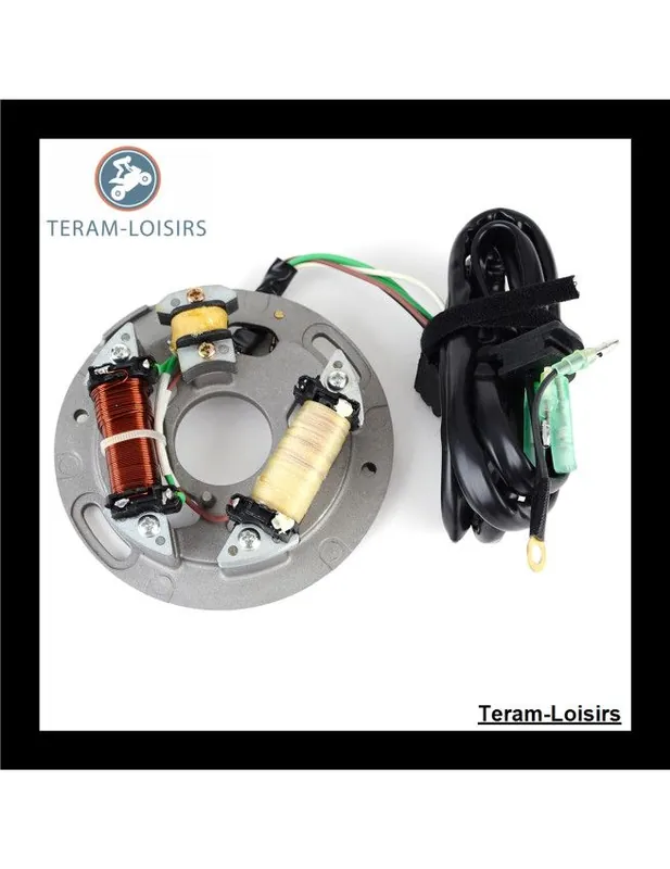 Acheter En Ligne Stator Alternateur pour Yamaha 700 TL de 1994 1995 NEUF