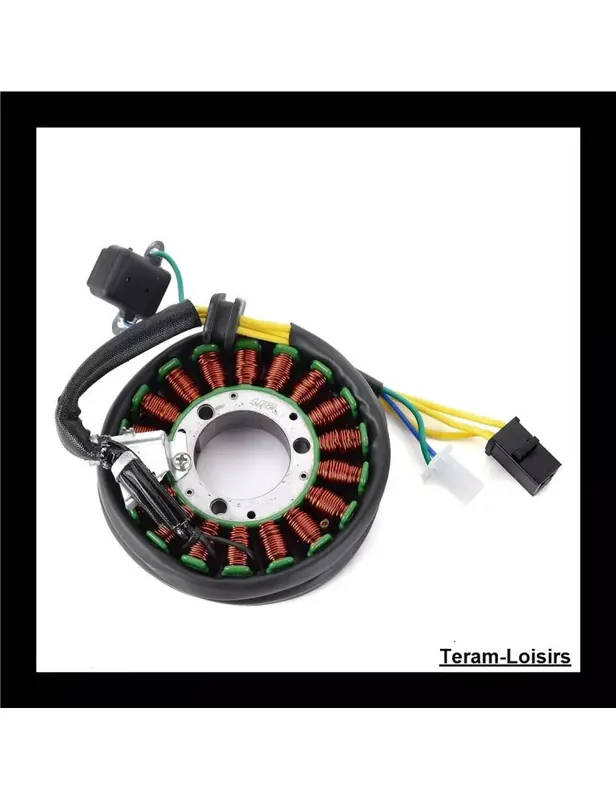 Stator Allumage pour Suzuki DR 200 SE de 1996 à 2013 Must-Have