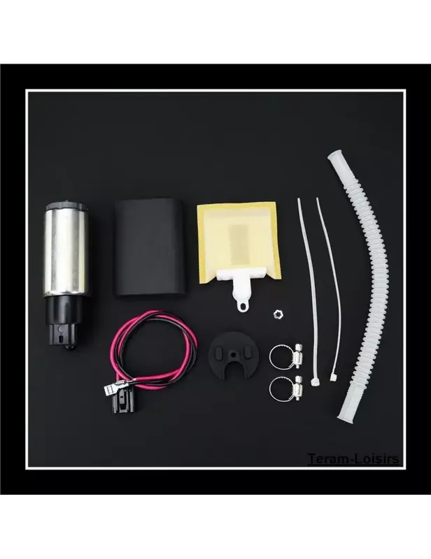 Vente Directe Pompe Essence pour Harley-Davidson ROAD KING 1450 FLHPEI / FLHPI de 2002 à 2006
