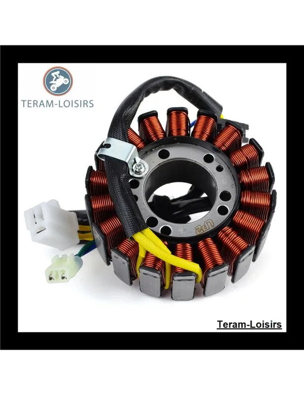 Usine Directe Stator Alternateur pour Kymco Shadow 300 NEUF