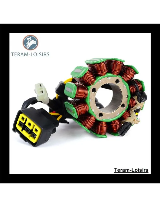 Acheter Direct Stator Alternateur pour TM Racing MX 300 4Temps de 2017 2018 2019 2020