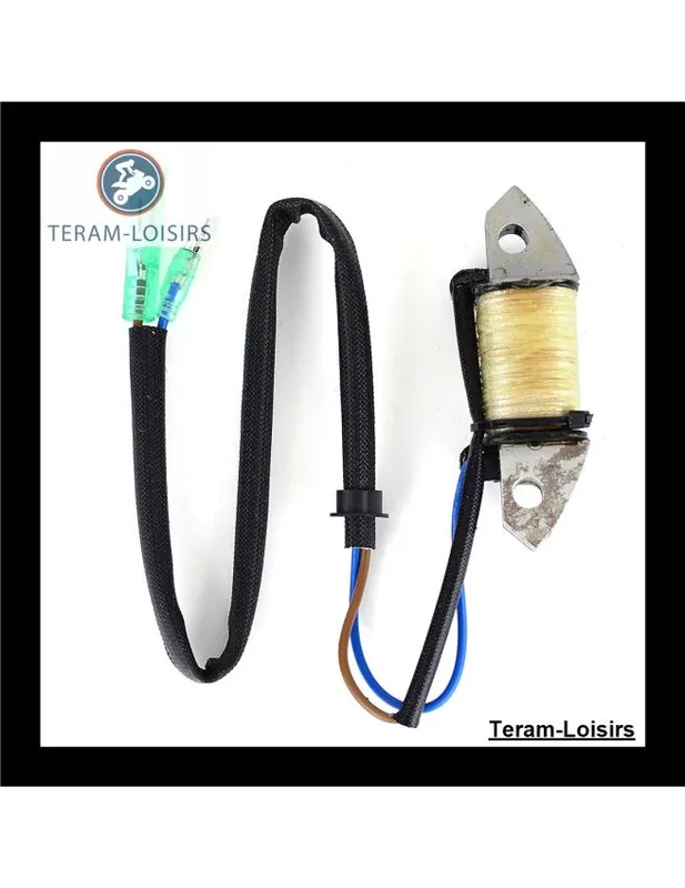 Acheter Direct Stator Alternateur pour Yamaha 50D EMTOS / L de 1989 1990 1991 1992 1993 1994
