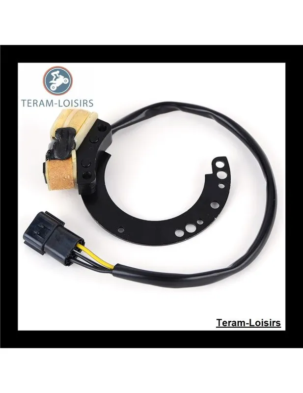Acheter En Ligne Stator Alternateur pour Mercury 15 HP de 1994 1995 1996