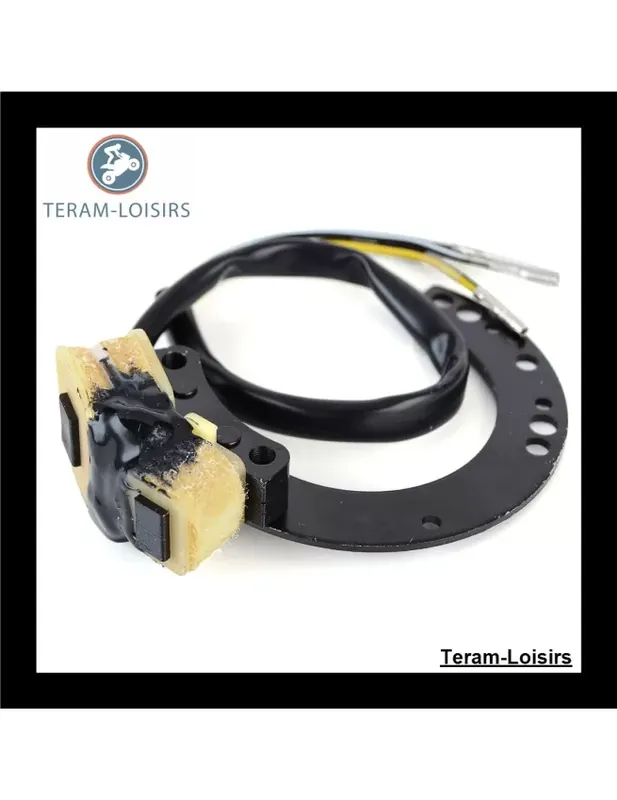 Vente Directe Stator Alternateur pour Mercury 25 HP de 1979 1980 1981 1982 1983 1984 1985 1986 1987 1988 à 1997