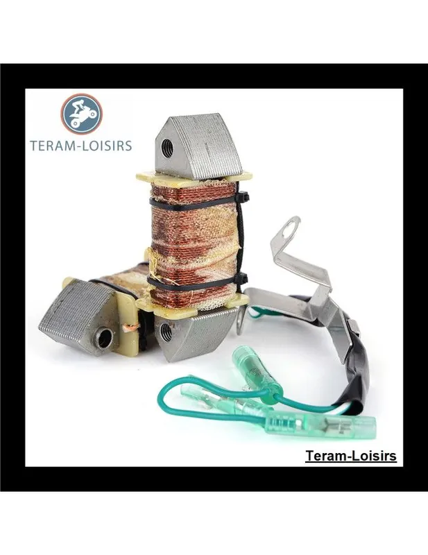 Affaire À Saisir Stator Alternateur pour Yamaha 15 HP F15 PS/LR de 2001 2002 2003 2004 2005 2006
