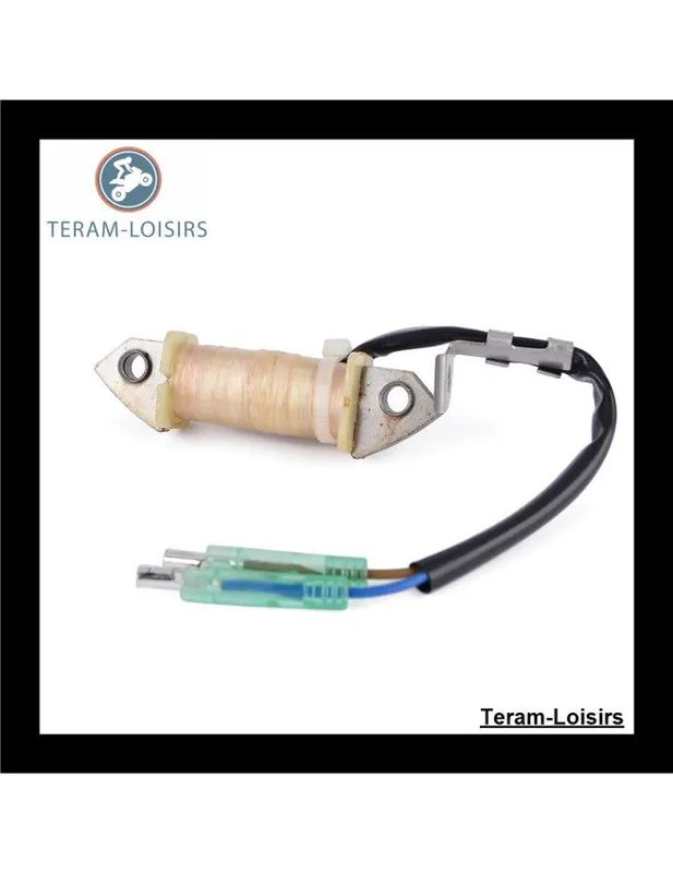 Stator Alternateur pour Yamaha 15 HP F15 PS / LH de 2002 2003 2004 2005 2006 Dernière Chance