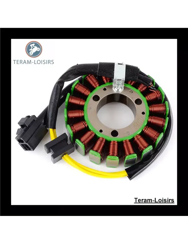 Vente Flash Stator pour Kawasaki 21003-1287