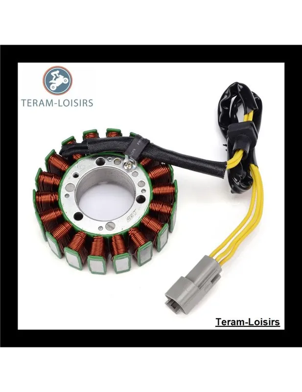 Acheter Direct Stator Alternateur pour Sea-doo 205 UTOPIA SE 155 NA / 215 SCIC à partir de 2009