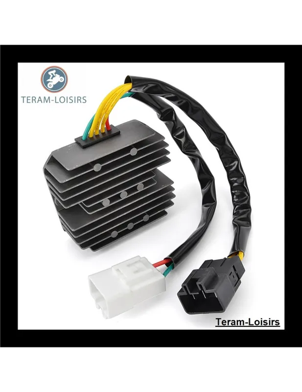 Retour Gratuit Régulateur Redresseur de Tension pour SYM type OEM : 31600-HJA-900