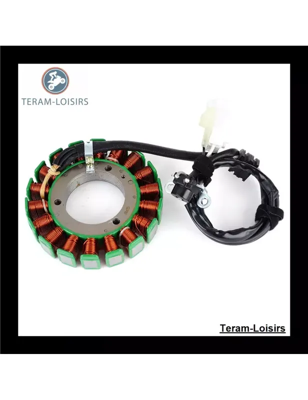 Vente Flash Stator pour Yamaha XVS 1300 A Midnight Star / V-Star de 2007 2008 2009