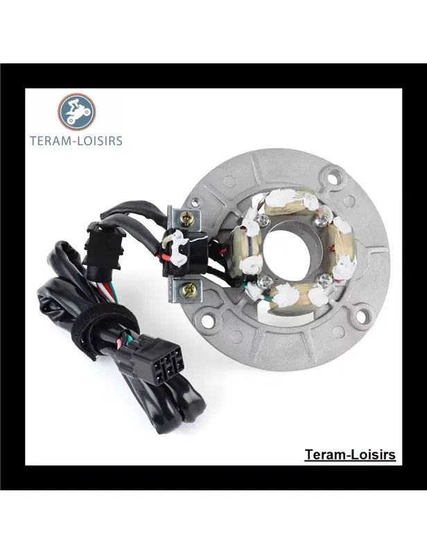 Acheter En Ligne Stator Allumage pour Yamaha YZ 250F T / YZ 450F T à partir de 2005