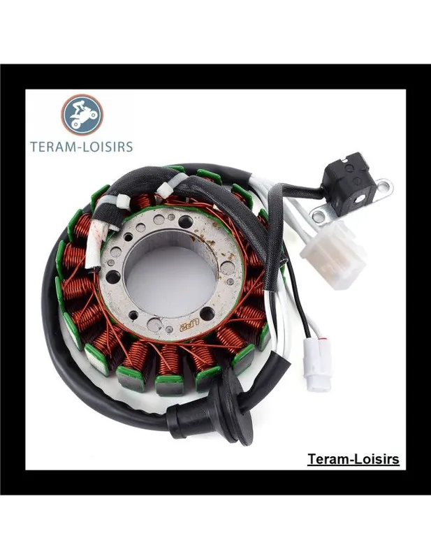 Vente Directe Stator Alternateur pour Yamaha Mountain Max 600 à partir de 2002