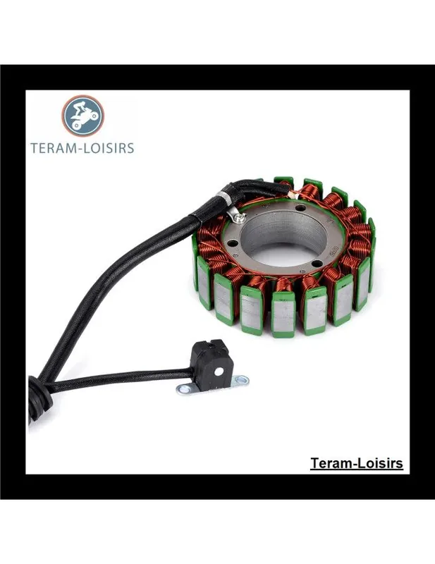 Achat Immédiat Stator Alternateur pour Yamaha Attak 1000 GT à partir de 2007