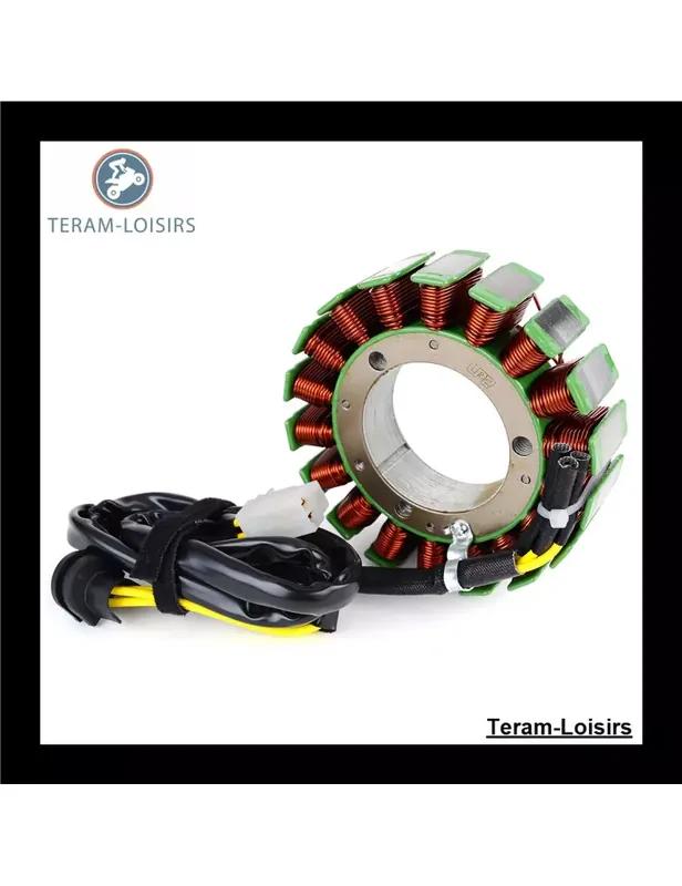 Stator pour Triumph Bonneville 800 de 2001 2002 2003 2004 2005 2006 Prix Cassé