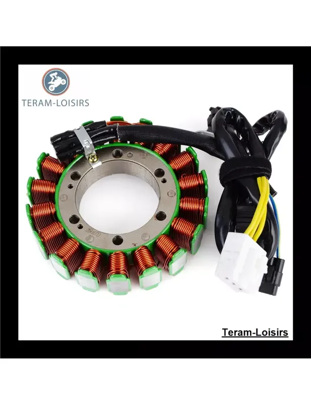 Stator pour Aprilia Shiver 900 de 2007 2008 2009 2010 2011 2012 2013 2014 2015 2016 2017 Expédié Aujourd'hui