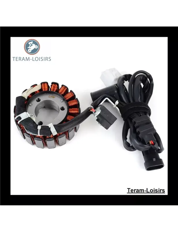 Promotion Saisonnière Stator pour Gilera Nexus 250 IE E3 de 2007 2008