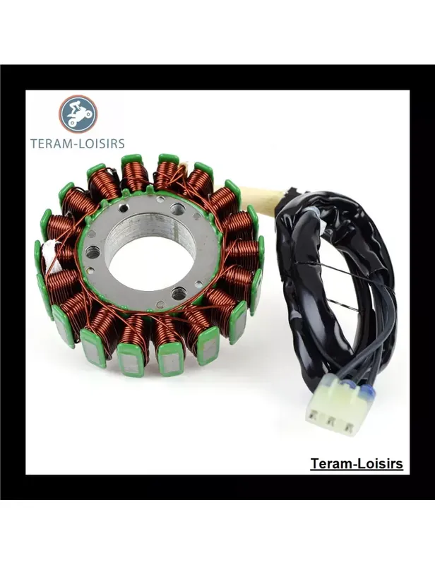 Affaire À Saisir Stator pour KTM 300 XC-W TPI de 2019 2020