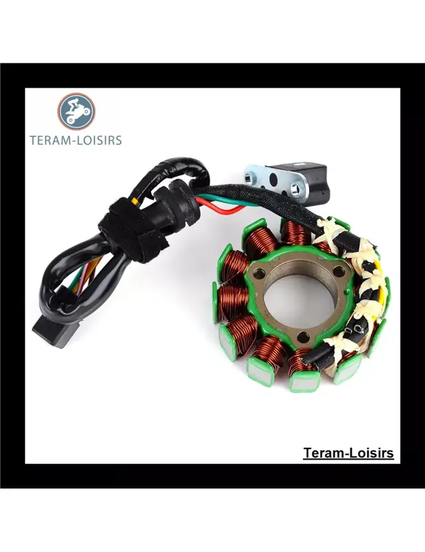Stator pour Suzuki RMZ 250 de 2010 2011 2012 2013 Dernier Modèle