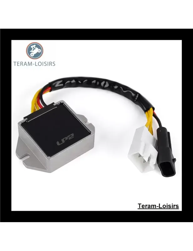 Acheter Direct Régulateur Tension pour Arctic Cat BEARCAT Z1 XT de 2010 2011 2012 2013 2014