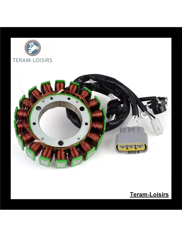 Stator pour Yamaha 1WS-81410-00 Pas Cher
