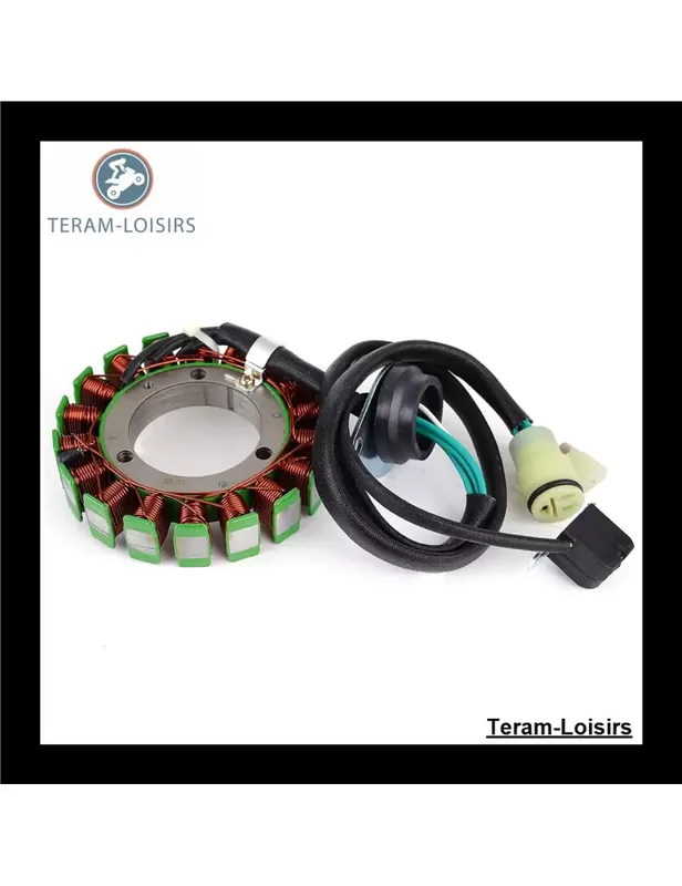 Usine Directe Stator pour Yamaha AR 240 HO de 2010 2011 2012