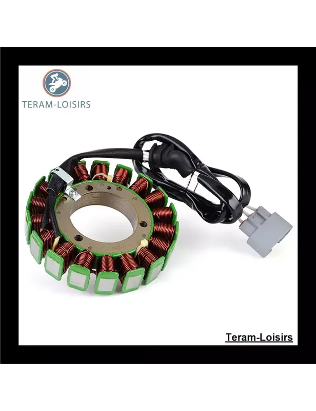 Stator pour Yamaha XTZ 1200 Super Tenere de 2010 2011 2012 2013 2014 2015 2016 2017 Must-Have