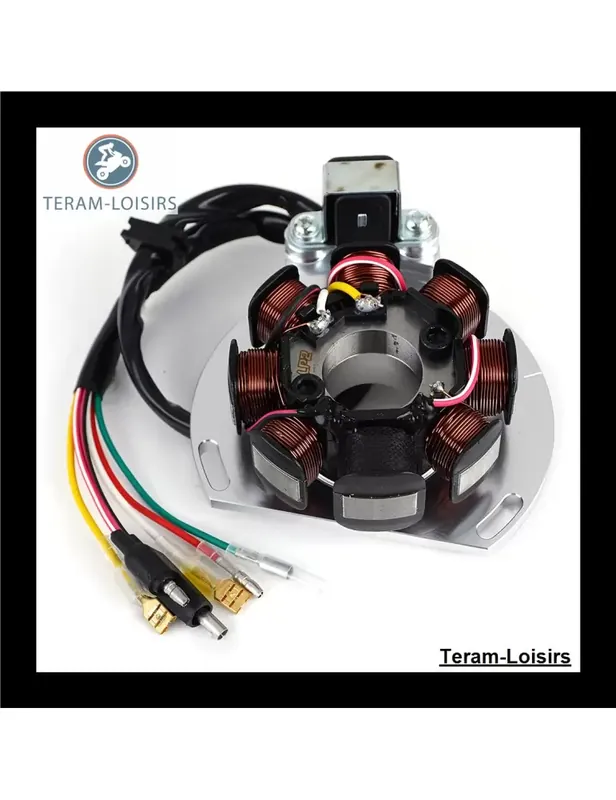Top Vente Stator Allumage pour Gas Gas EC 200 / 250 / 300 de 2000 2001 2002 2003 2004