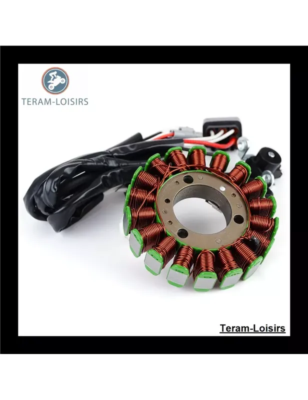 Meilleur Prix Stator pour Yamaha WR 250 X de 2007 2008 2009 2010 2011 2012
