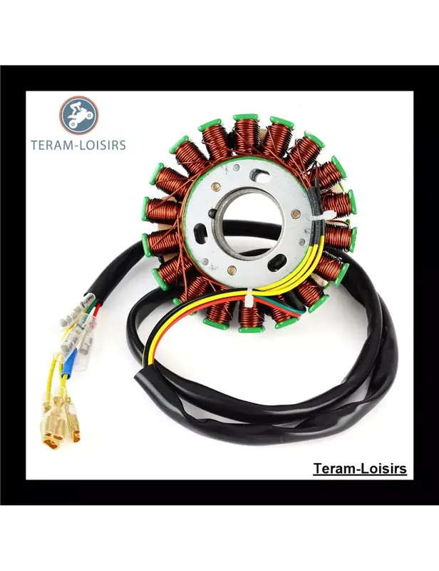 Affaire À Saisir Stator pour Husaberg FE 600 E de 1996 1997 1998