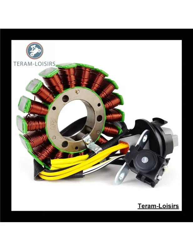 Achetez Aujourd&rsquo;hui Stator pour Sea-Doo 800 SPX de 1997 1998 1999