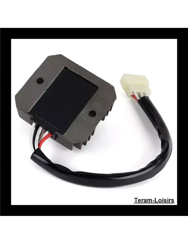 Vente Flash Régulateur Tension pour MZ/MUZ SM 660 de 2006 2007 et 2008
