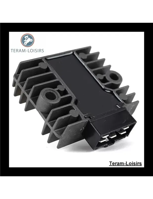 Acheter En Ligne Régulateur Tension pour Honda HT3813K1 SA / HT4213 SA / RT5000 A