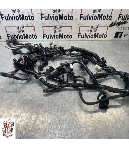 Vente Directe Faisceau électrique HONDA CB 1000 R – 2024