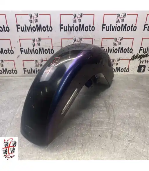 Bon Plan Garde boue HARLEY-DAVIDSON ELECTRA GLIDE – 2009