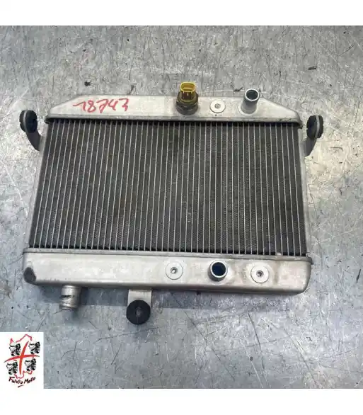 Vente Flash Radiateur d'eau SUZUKI BURGMAN 400 – 2013