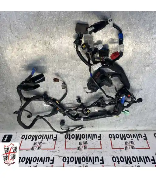 Bon Marché Faisceau électrique SUZUKI SV 650 – 2016-2026