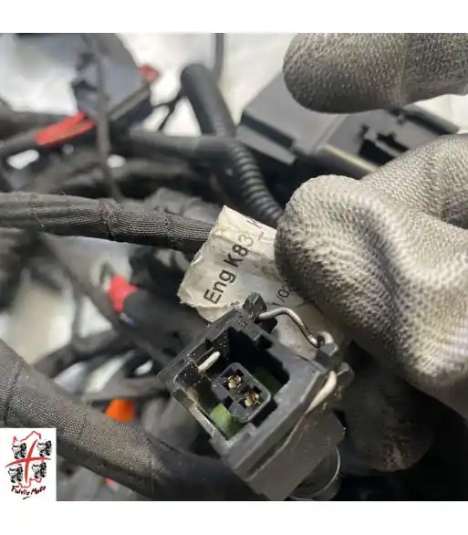 Top Vente Faisceau électrique BMW f900r – 2022