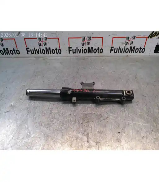 Populaire Tube de fourche SYM x-pro 50 – 2017