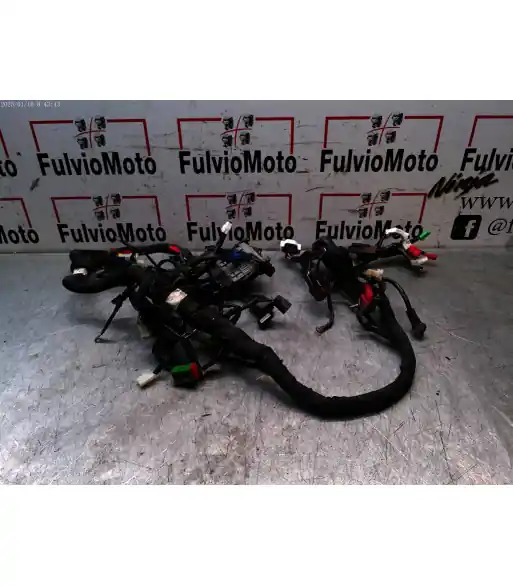 Affaire À Saisir Faisceau électrique KTM DUKE 390 – 2024