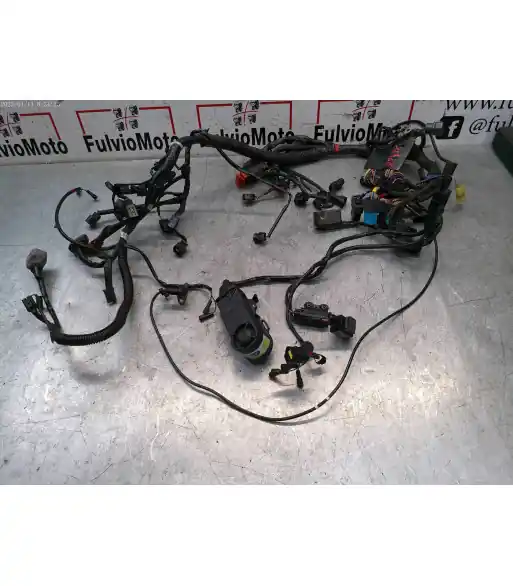 Faisceau électrique TRIUMPH TIGER 800 – 2011 Vente Flash